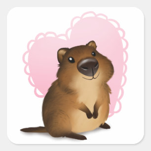 Adesivo Quadrado Quokka