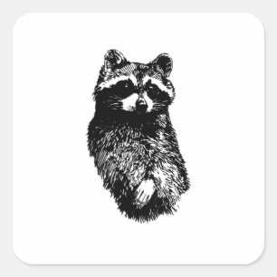 Adesivo Quadrado Raccoon