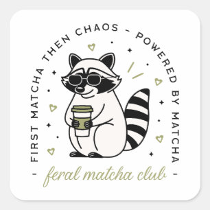 Adesivo Quadrado Raccoon com matcha clube engraçado kawaii