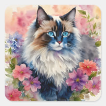 Ragdoll Cat Retrato Floral