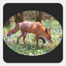 Adesivo Quadrado Raposa Vermelha na Floresta de Bluebells Arte da V