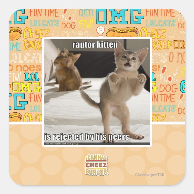 Adesivo Quadrado Raptor Kitten (Frente)