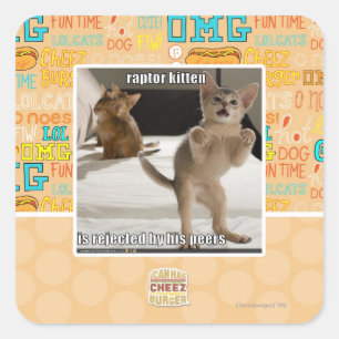 Adesivo Quadrado Raptor Kitten