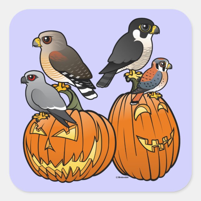 Adesivo Quadrado Raptores Birdorable em Pumpkins (Frente)