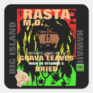 ADESIVO QUADRADO RASTA M.D., DRIED GUAVA LEAVES