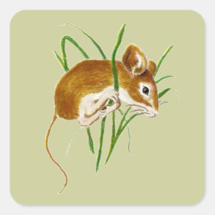 Adesivo Quadrado Ratos bonitos, natureza animal da aguarela do rato