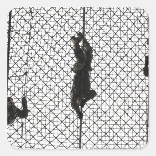 Adesivo Quadrado recrutas que terminam um obstáculo