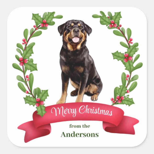 Adesivo Quadrado Red Berry Holly Banner Rottweiler Natal (Frente)