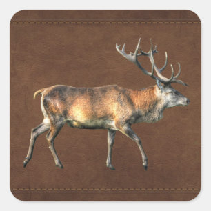 Adesivo Quadrado Red Deer Stag Willife Design