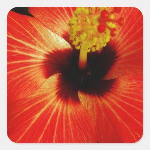 Adesivo Quadrado Red Hibiscus
