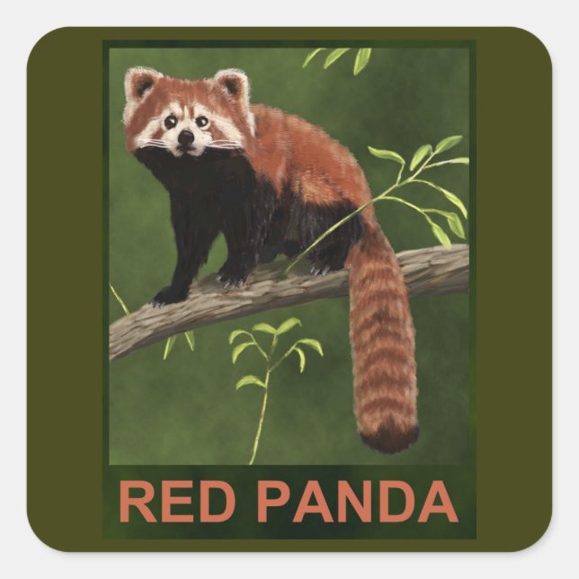 Adesivo Quadrado Red Panda (Frente)