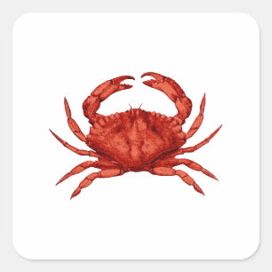 Adesivo Quadrado Red Rock Crab (Pacífico)