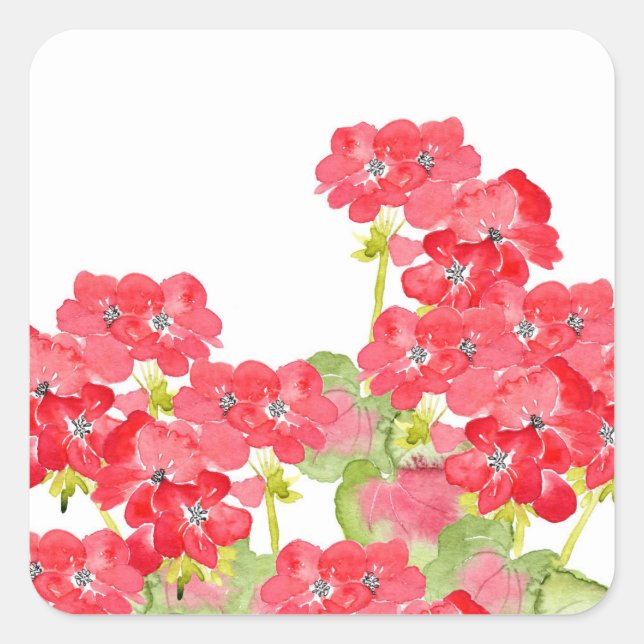 Adesivo Quadrado Red Watercolor Geraniums (Frente)