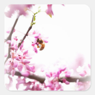 Adesivo Quadrado Redbud & honeybee no Springtime