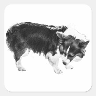 Adesivo Quadrado Rede Folha-Sombra