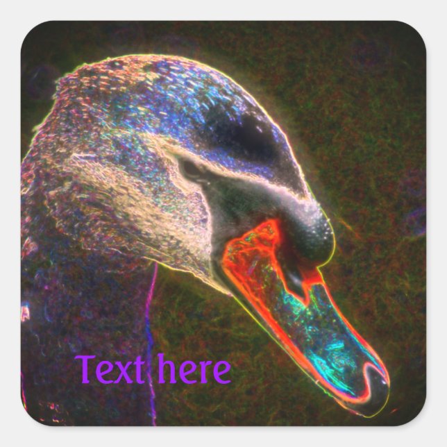 Adesivo Quadrado Régal Swan Abstrato Art Nature Personalizado (Frente)