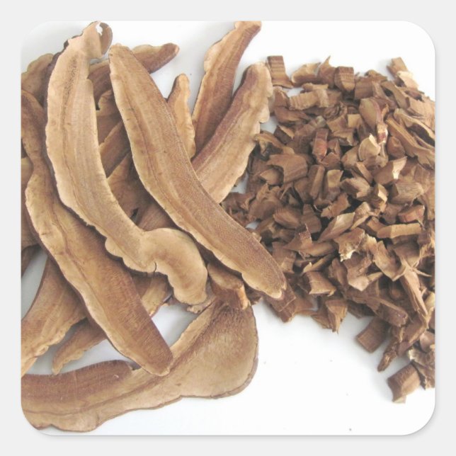 Adesivo Quadrado Reishi Mushroom Sticker (Frente)