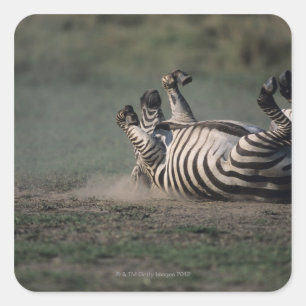 Adesivo Quadrado Reserva Nacional Masai Mara, Quénia 2