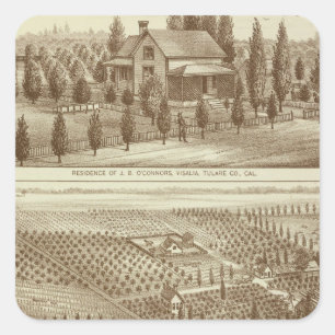 Adesivo Quadrado Residência, berçário, estábulo, Visalia, Cal