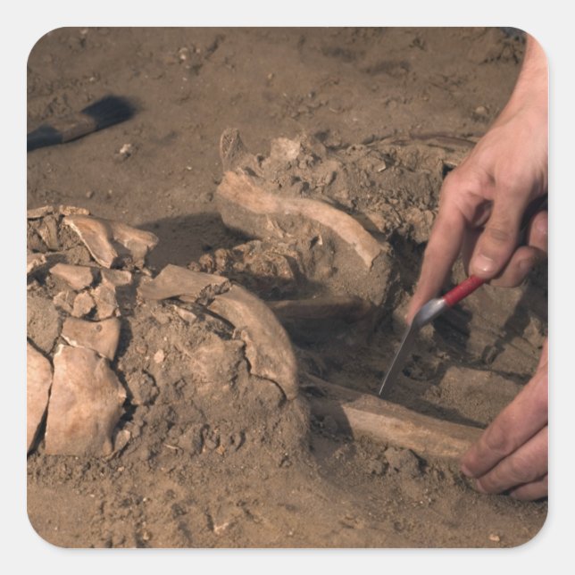 Adesivo Quadrado Restos humanos (Frente)