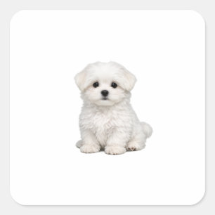 Adesivo Quadrado Retrato de Cachorrinho Branco e Fofinho da Raça Ma