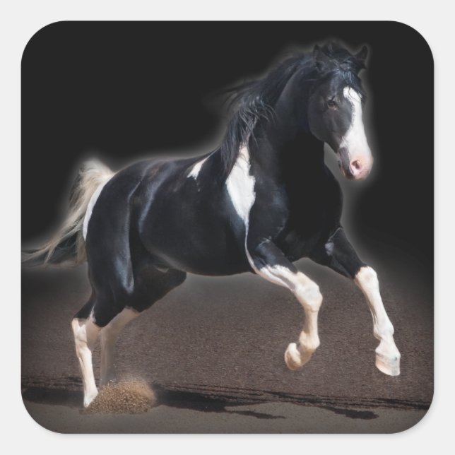 Adesivo Quadrado Retrato de Cavalo VIII (Frente)