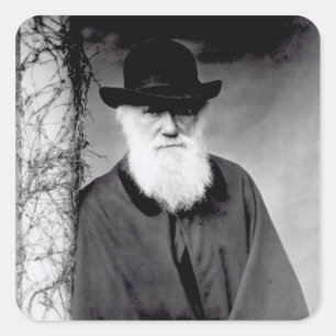 Adesivo Quadrado Retrato de Charles Darwin 1881