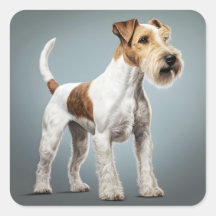 Retrato De Um Cabelo De Fio De Fox Terrier