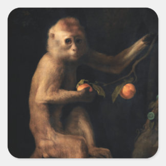 Adesivo Quadrado Retrato de um macaco
