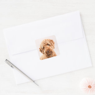 Adesivo Quadrado Retrato do Goldendoodle Studio