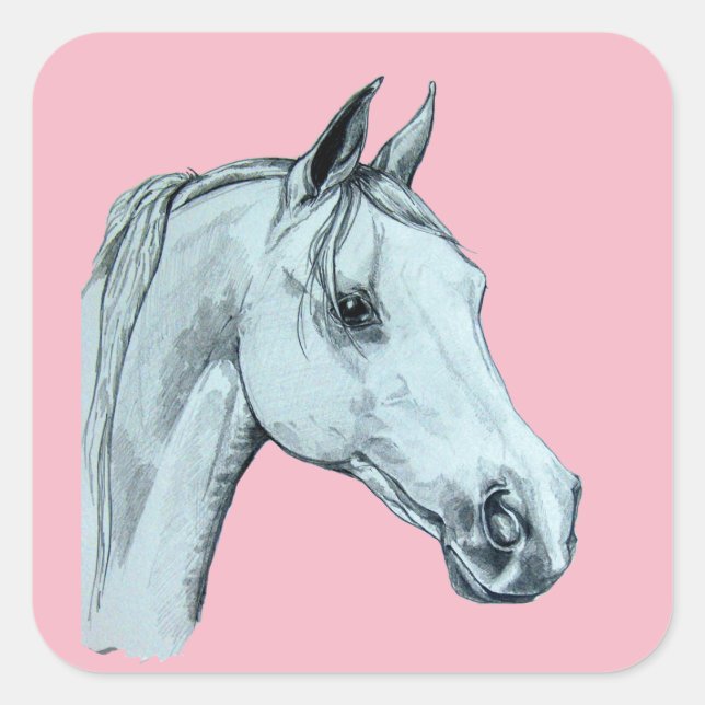 Adesivo Quadrado Retrato do Lápis do Cavalo Árabe em Fundo Rosa (Frente)