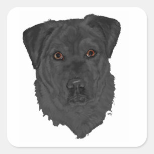 Adesivo Quadrado Retriever Labrador Preto