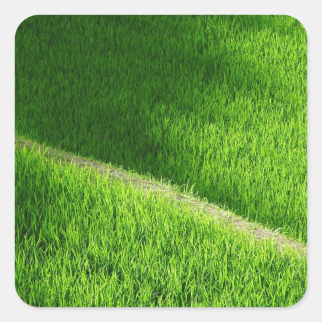 Adesivo Quadrado Rice Terraces Yamada's Rice Fields Japão (Frente)