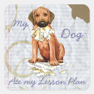 Adesivo Quadrado Ridgeback Ate Lesson Plan Square Sticker
