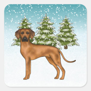 Adesivo Quadrado Ridgeback Ridgeback Lion Dog Snowy Forest