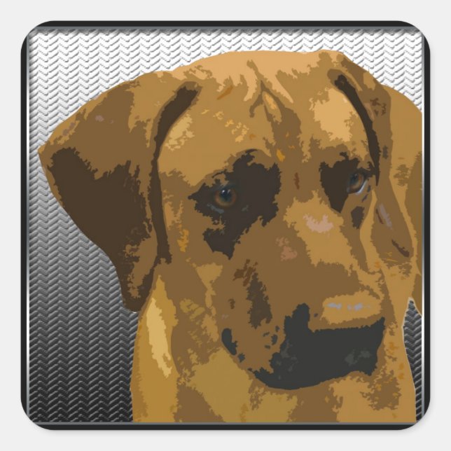 Adesivo Quadrado Ridgeback rodesiano (Frente)