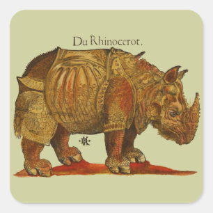 Adesivo Quadrado Rinocerontes Rinocerontes de Vintage Rhino Durer A