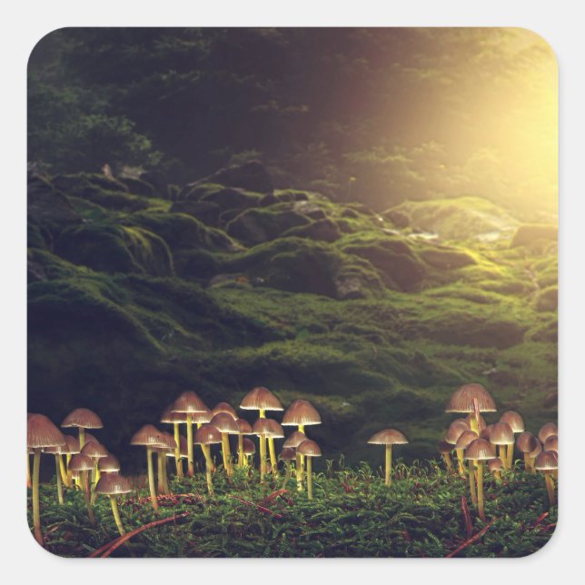 Adesivo Quadrado Ripe Cogumelos Selvagens na Floresta (Frente)