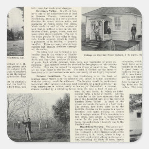 Adesivo Quadrado Riverdale Prune Orchard, Califórnia