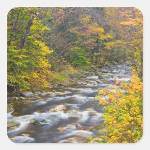 Adesivo Quadrado Roaring Brook no outono em Vermont's Green 2