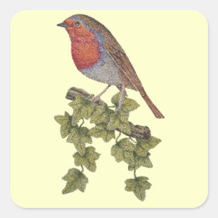 Adesivo Quadrado Robin abarrotado de aves selvagens com folhas de e