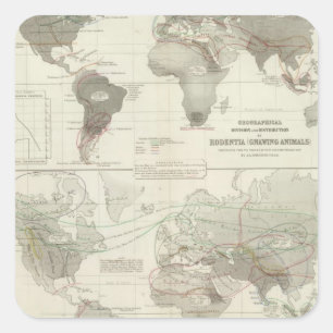 Adesivo Quadrado Rodentia, Ruminantia