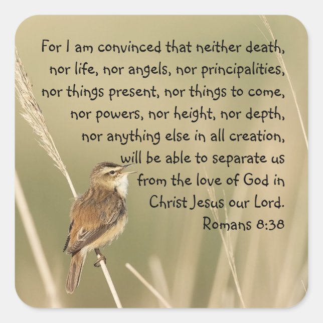 Adesivo Quadrado Romanos da cotação da Bíblia Inspiracional 8:38 (Frente)