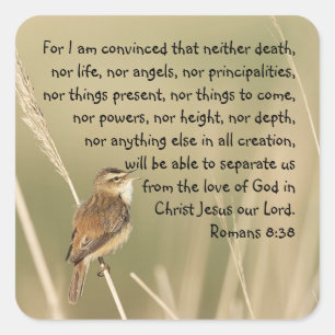 Adesivo Quadrado Romanos da cotação da Bíblia Inspiracional 8:38