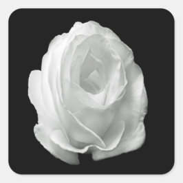 Adesivo Quadrado rosa branco sobre fundo preto