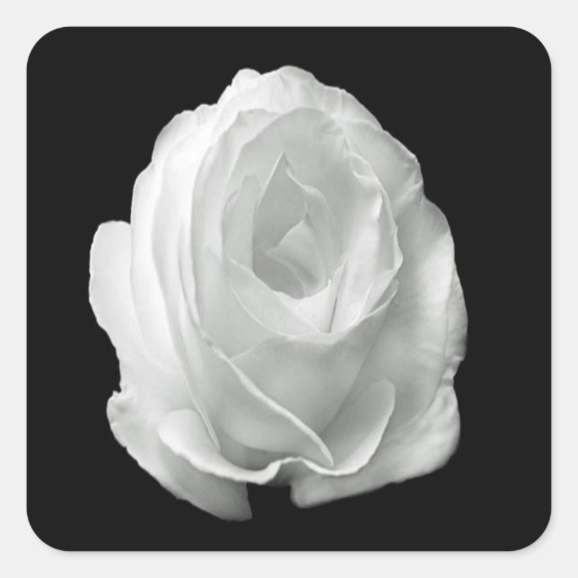 Adesivo Quadrado rosa branco sobre fundo preto (Frente)