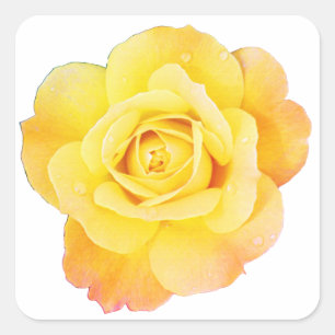 Adesivo Quadrado Rosa Flor Floral Laranja Amarelo Primavera Páscoa