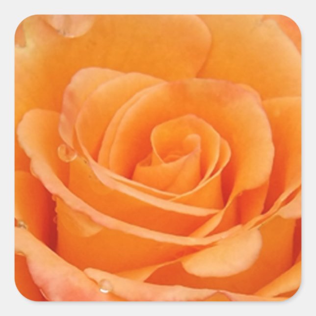 Adesivo Quadrado Rosa laranja (Frente)