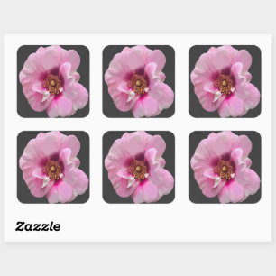 Adesivo Quadrado Rosa rosa com Coração Roxo - pintura a óleo
