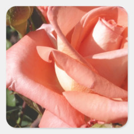 Adesivo Quadrado Rosa Rosa Peachy
